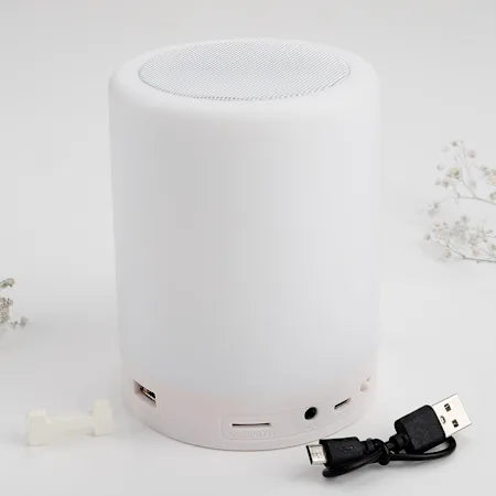 Touch Lamp Speaker